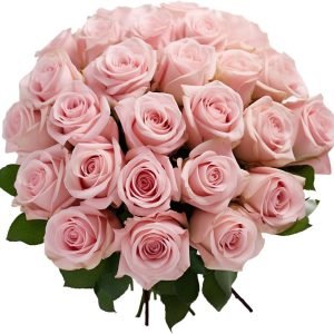 100 pink roses globalrose fresh flowers