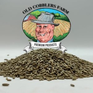 winter-rye-grass-seeds-cover-crop