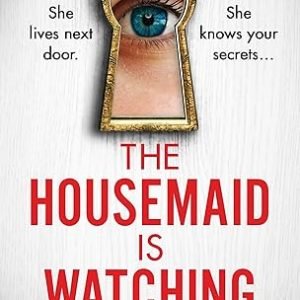 the-housemaid-is-watching-psychological-thriller