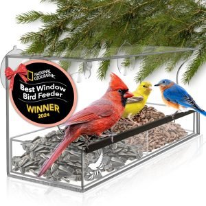 window-bird-feeder-strong suction cups