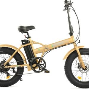 ECOTRIC Electric Bike