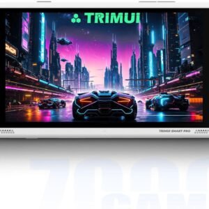 Trimui Smart Pro