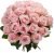 100 Pink Roses