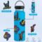 Water Bottle Stickers