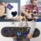 Water Bottle Stickers