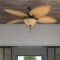 Honeywell Palm Valley 52″