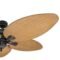 Honeywell Palm Valley 52″