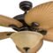Honeywell Palm Valley 52″