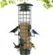 Squirrel-proof bird feeder