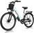 Vivi Electric Bike