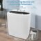 ROVSUN 15lbs Twin Tub Washer