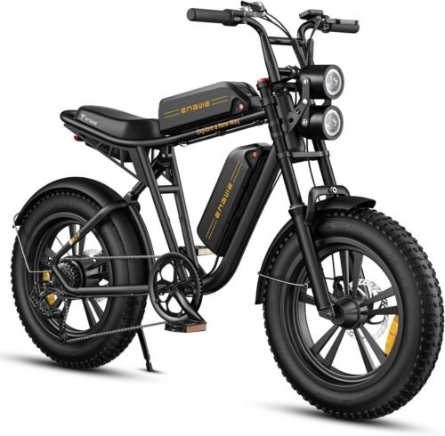 ENGWE M20
