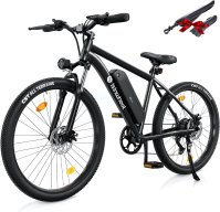 isinwheel M10