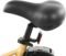 ECOTRIC Electric Bike