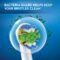 Oral-B Smart 1500