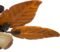 Honeywell Royal Palm 52″