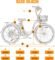 ECOTRIC Citycruiser Electric Bike