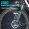 Vivi 750W Electric Bike