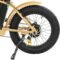 ECOTRIC Electric Bike