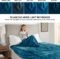 Beautyrest Heated Blanket