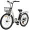 ECOTRIC Citycruiser Electric Bike