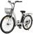 ECOTRIC Citycruiser Electric Bike