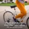 Schwinn Discover Adult Hybrid Bike
