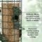 Squirrel-proof bird feeder