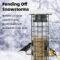 Squirrel-proof bird feeder