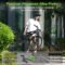 isinwheel M10