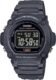 Casio W219H Series