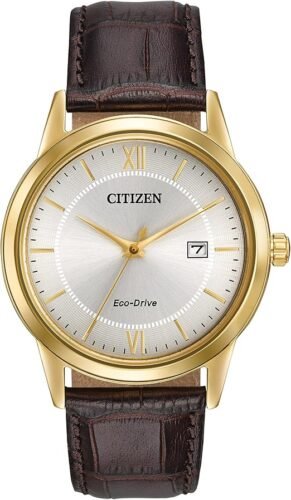Classic Eco-Drive Leather Strap