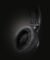 PHILIPS Fidelio X2HR