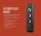 Polk Monitor XT60