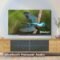 TCL 32S350G Smart TV