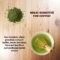 BambooWorx Matcha Whisk