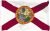 Durable Florida flag