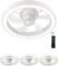 Flush Mount Ceiling Fan