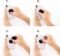 Pride PopSockets PopGrip