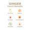 GIN GINS Ginger Chews