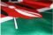 Kenya Flag Polyester