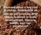 Organic Flax Seeds