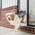 PetSafe Extreme Pet Door
