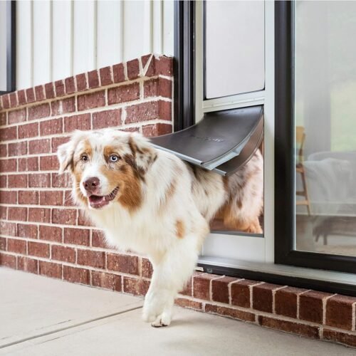 PetSafe Extreme Pet Door