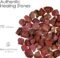 Raw Red Jasper Crystals