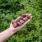 Raw Red Jasper Crystals