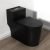 SouNor Modern black toilet