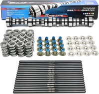 Texas Speed TSP Magic Stick Stage 4 Cam, Spring Kit, and Chromoly Pushrods