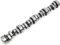 Texas Speed TSP Magic Stick Stage 4 Cam, Spring Kit, and Chromoly Pushrods