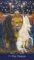 The Star Tarot self-discovery